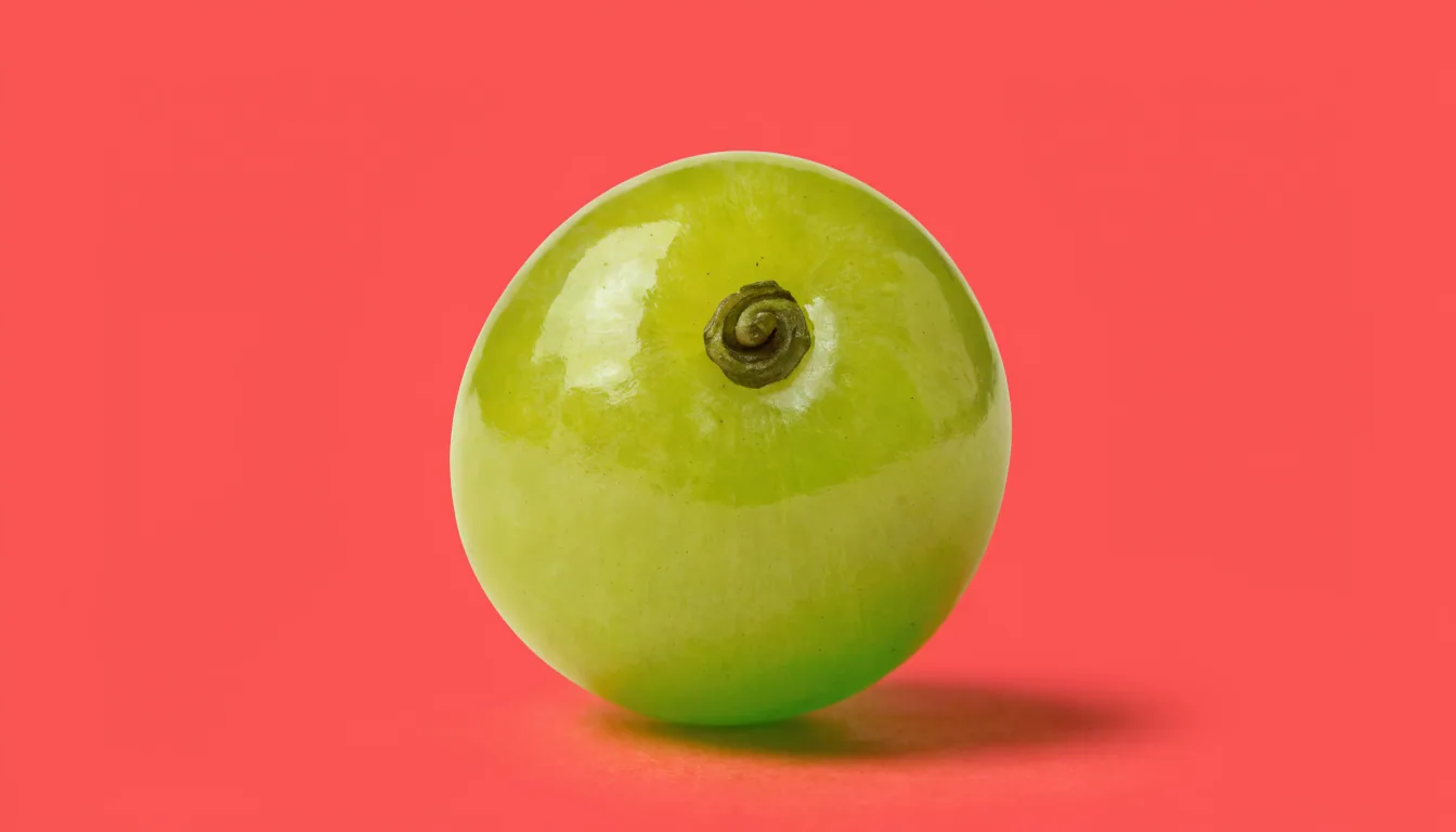 A single plump glossy green grape on a warm coral background, centred with generous empty space around it.