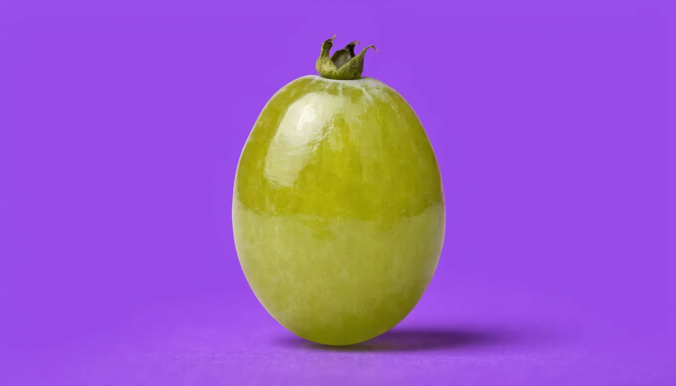 A single plump whole green grape on a solid purple background, lit with soft studio light and a gentle drop shadow beneath it.