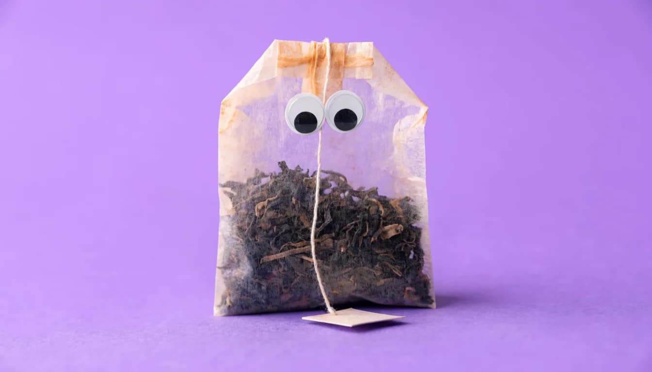 A single tea bag with two small googly eyes resting on its surface, sitting against a flat soft lavender background.