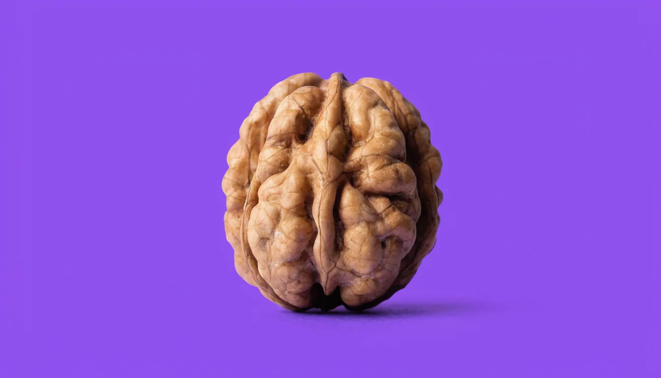 A single whole walnut in its shell, its naturally wrinkled brown surface filling the centre of the frame, against a solid vivid purple background.